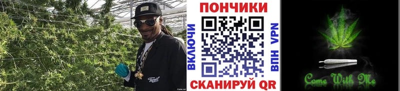 Каннабис AK-47  закладка  Лесозаводск 